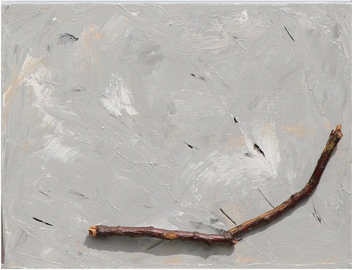 vue de ma fenêtre 1